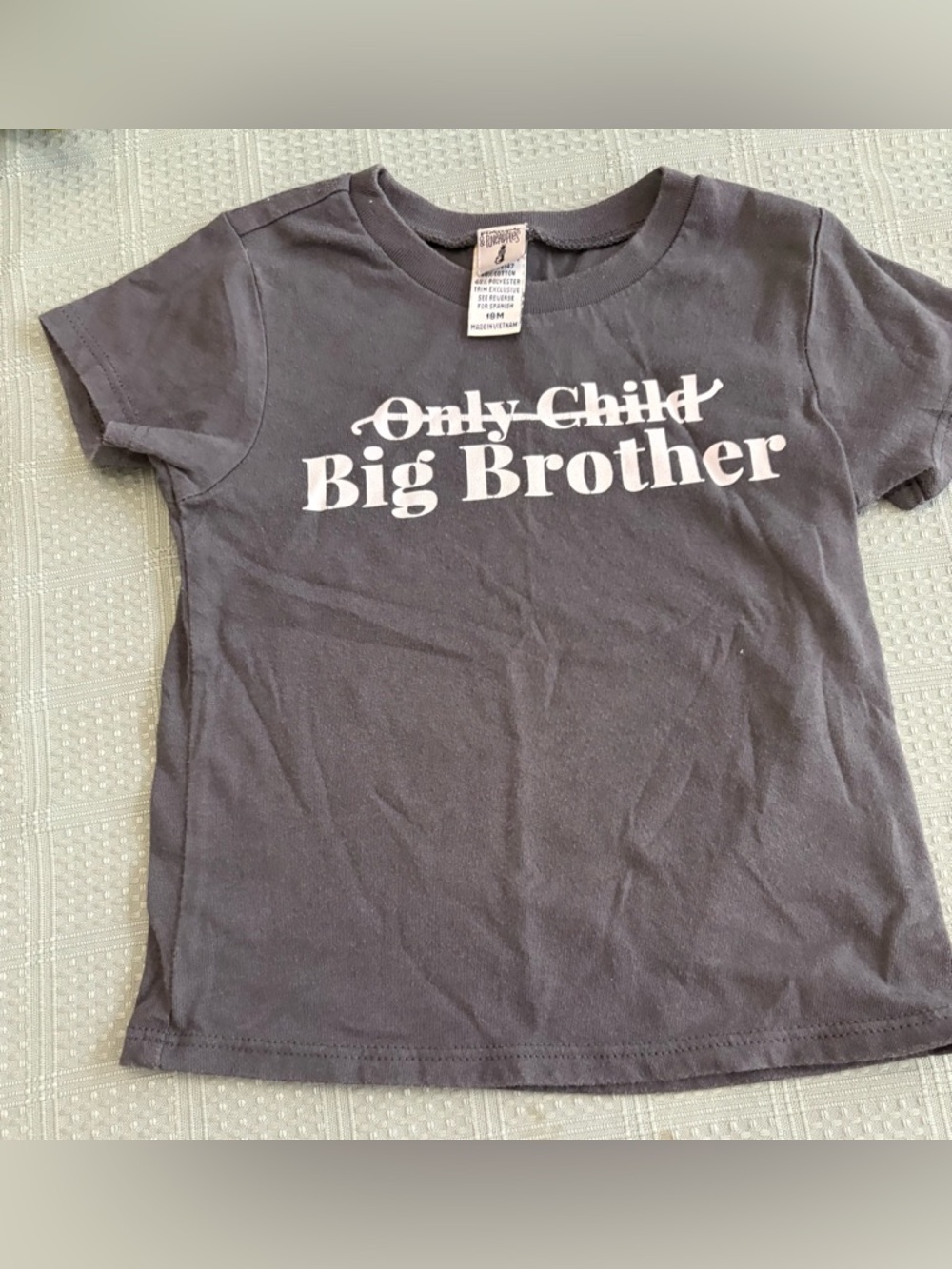 Penguins & Pineapples Boys Gray T Shirt Size 18 Month, Only Child to Big Bro